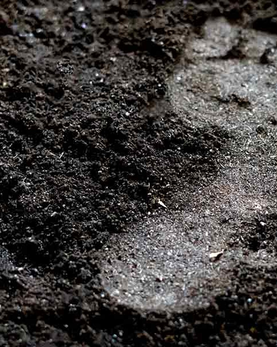 Soil