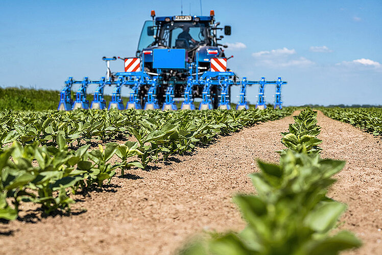 Chemical weed control