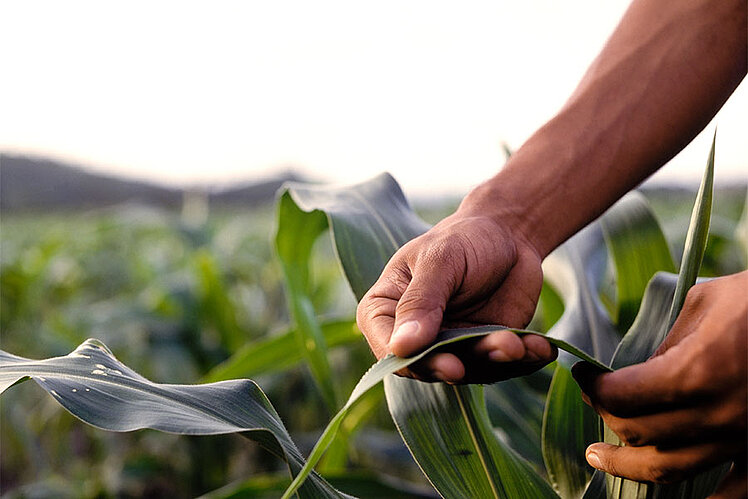 Landmaschinen Cropcare