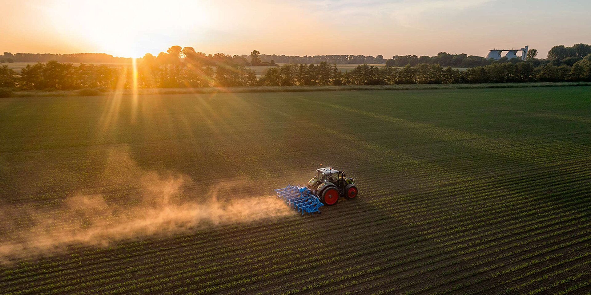 LEMKEN EC-Weeder Haeufelschare