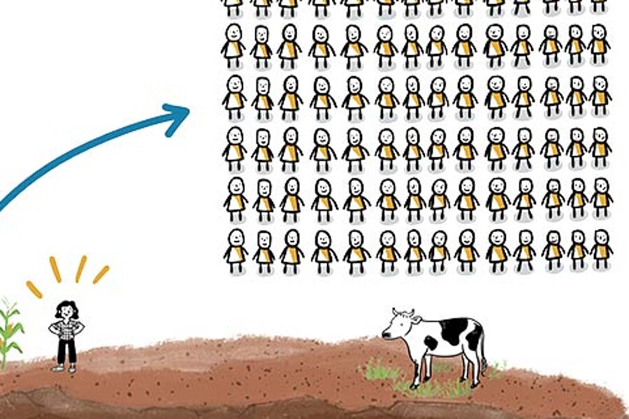 Soil & Nutrition