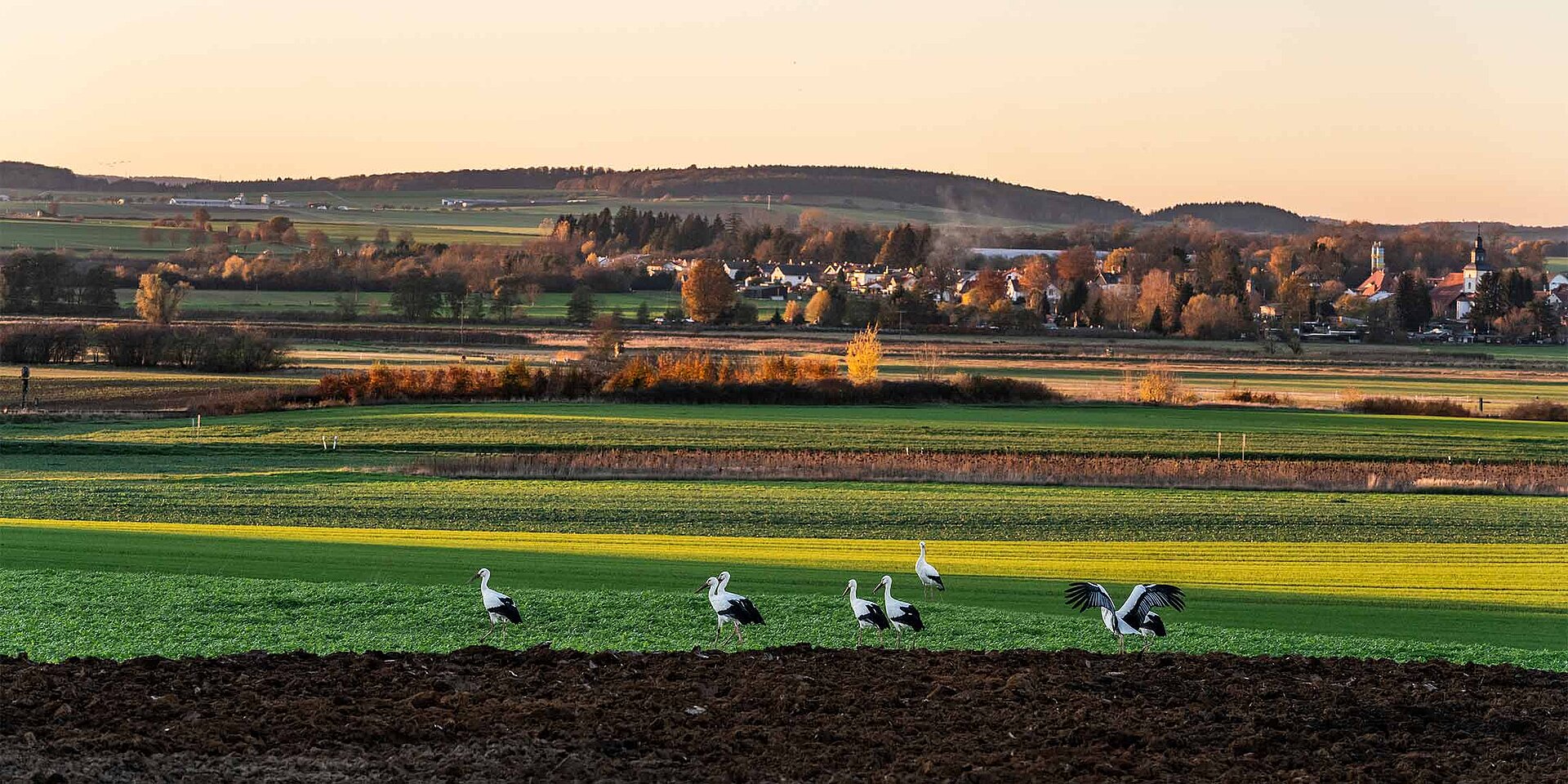 LEMKEN ökonomisches Handeln