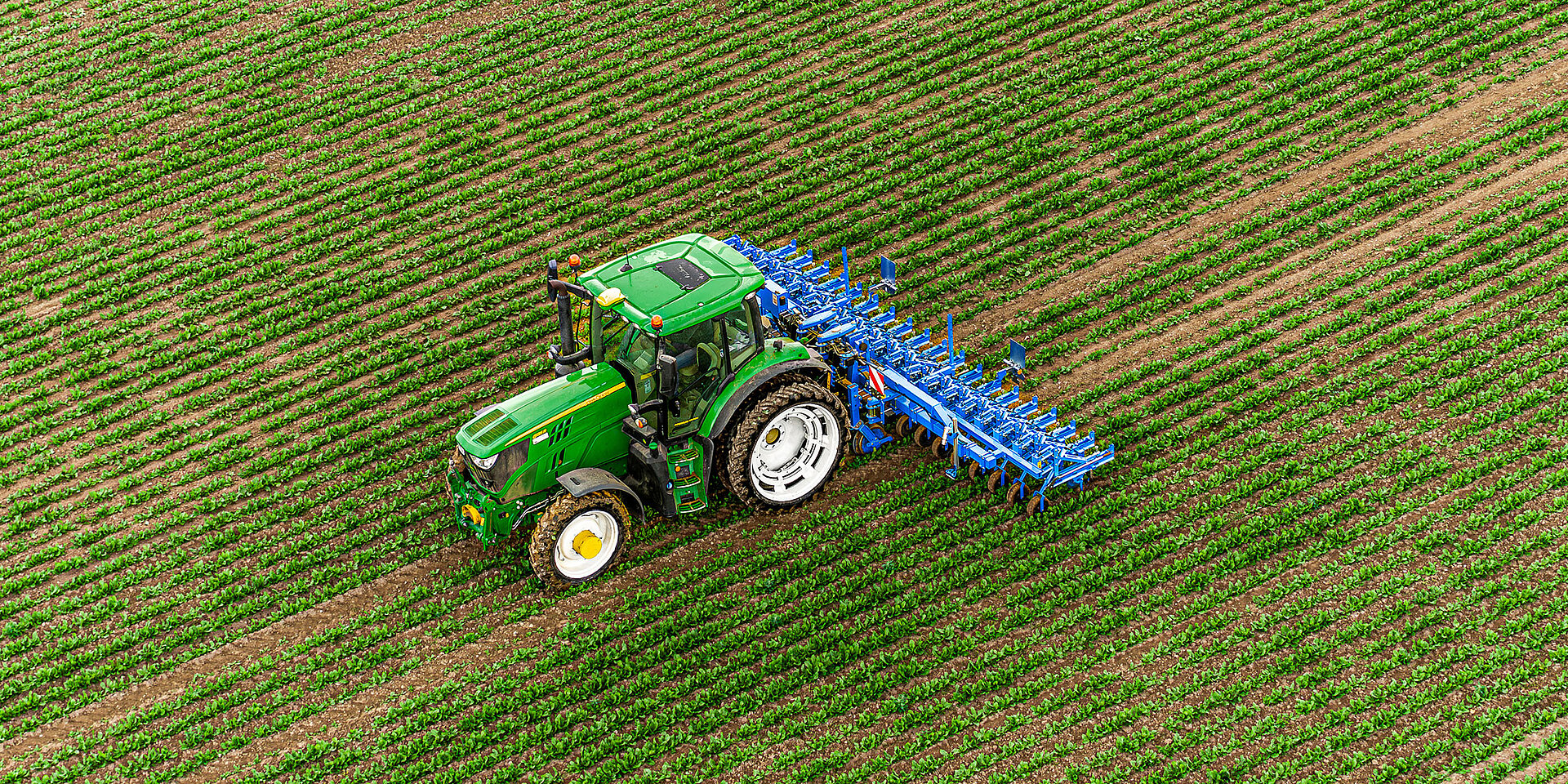 LEMKEN EC-Weeder mit Kamerasteuerung iQblue vision