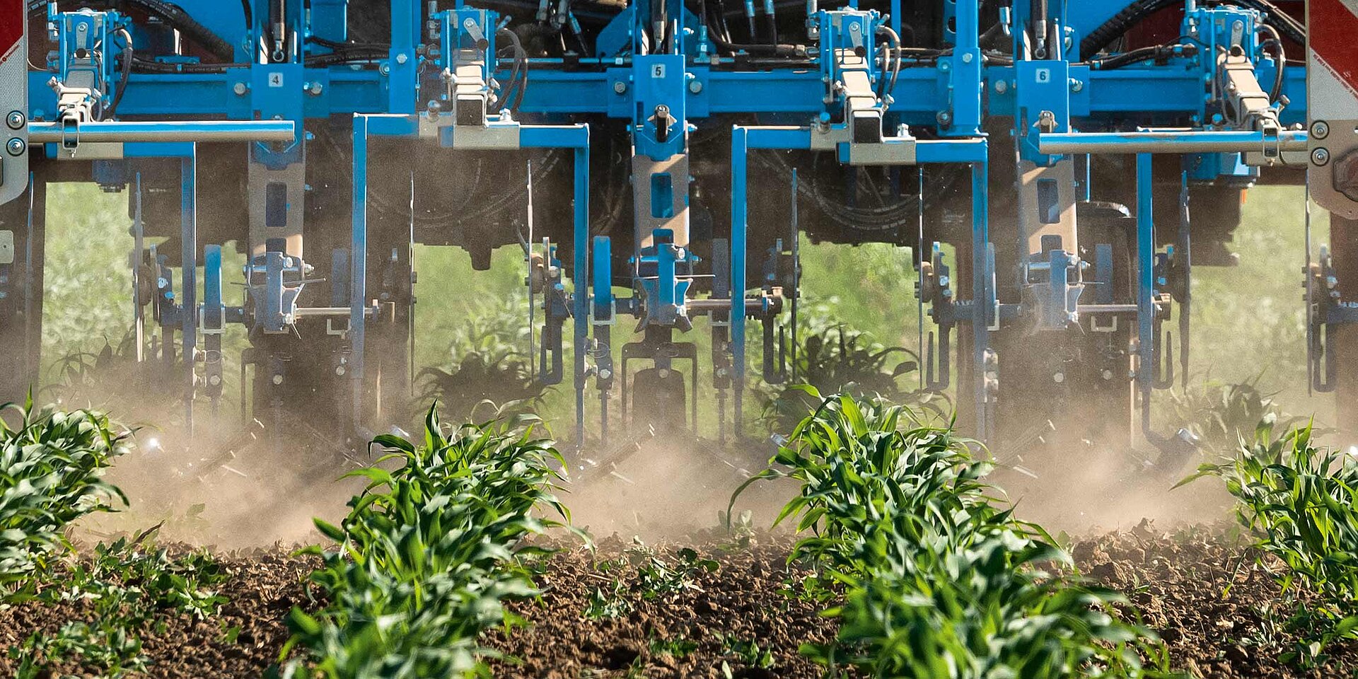 LEMKEN EC-Weeder Schutzscheiben