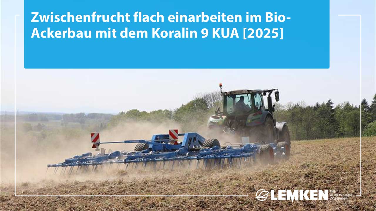 Zwischenfrucht flach einarbeiten im Bioackerbau mit dem Koralin 9 von LEMKEN
