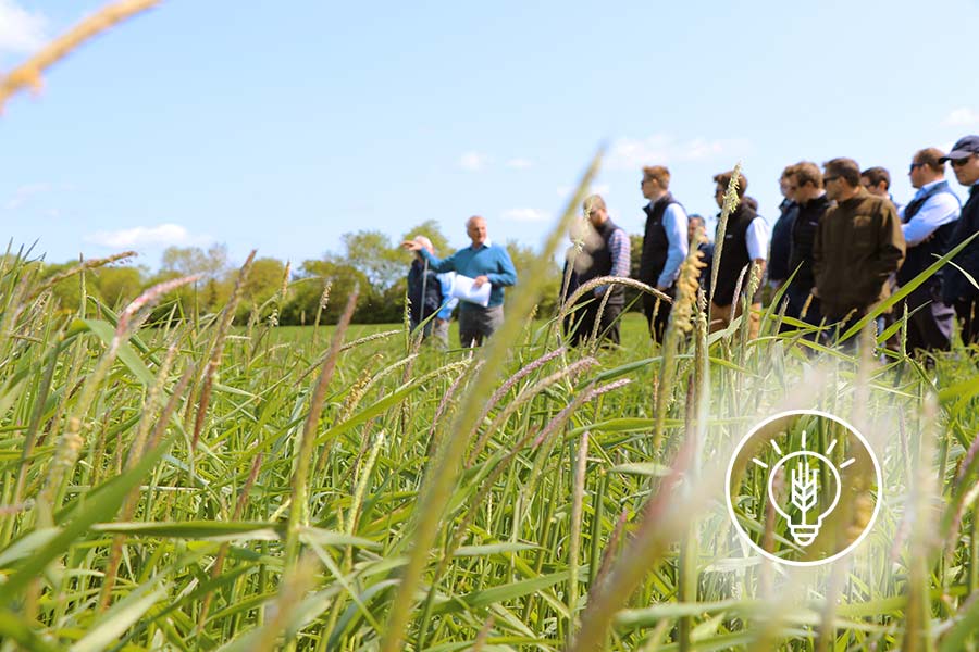 Beratung und Forschung von LEMKEN next level farming