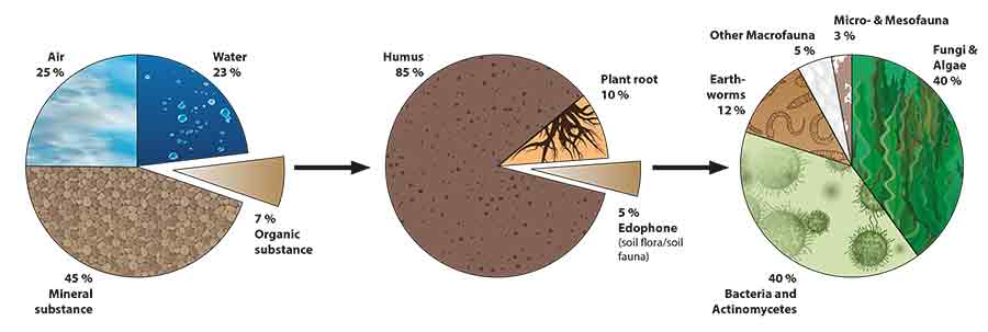 soil composition graphic