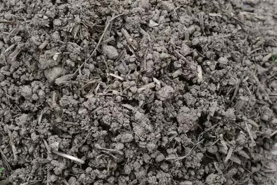 Soil cultivation Root zone