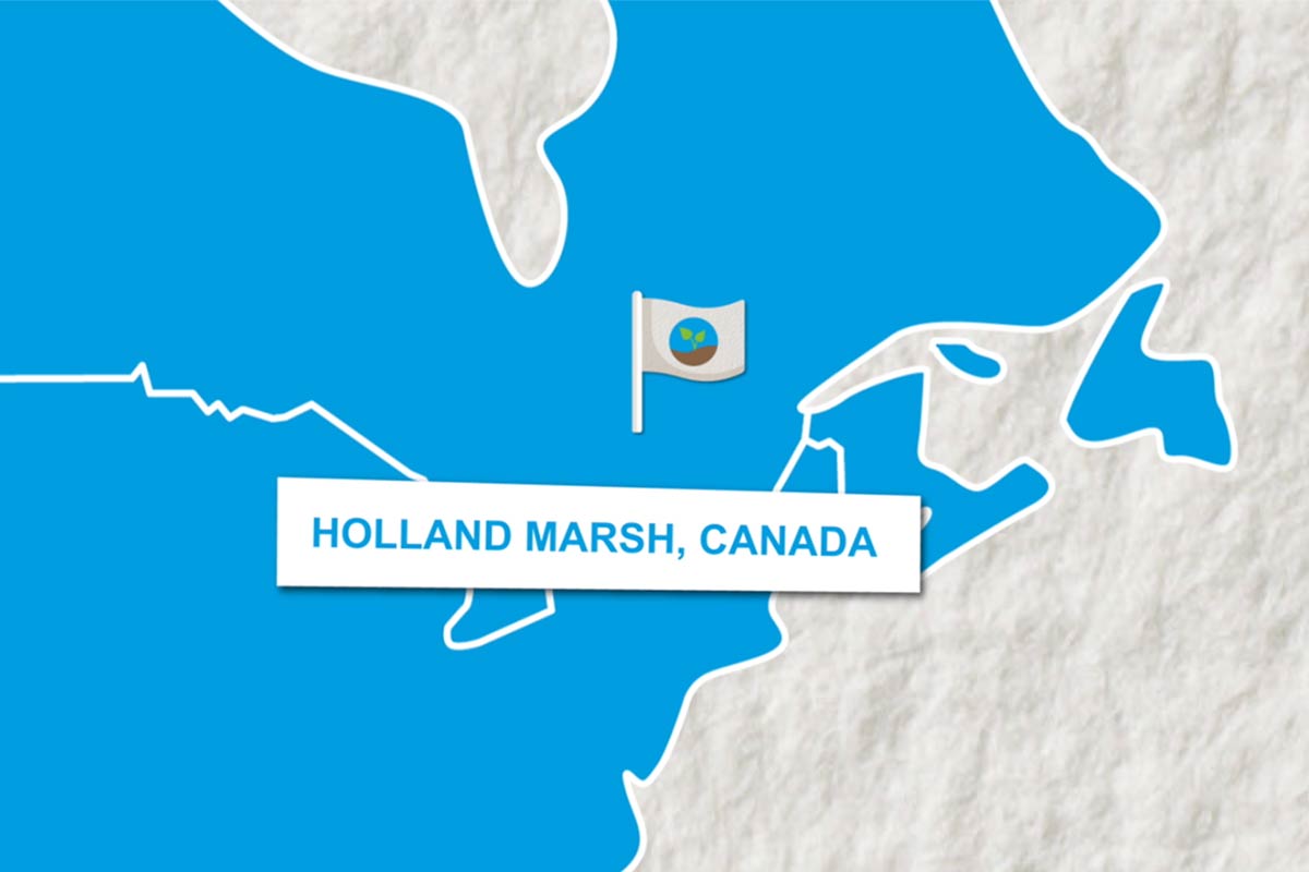 L-Team map of Holland Marsh, Canada